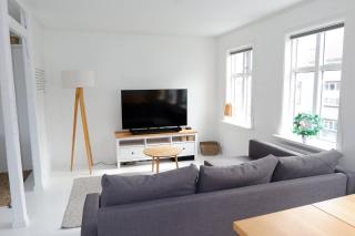 Charming 1BR Apartment in Downtown Reykjavik - Reykjavik - 9