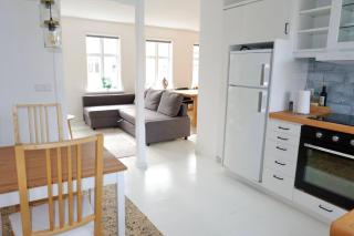 Charming 1BR Apartment in Downtown Reykjavik - 3