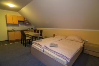 Apartmány Sport with Garage - Rokytnice nad Jizerou - 9
