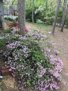 400- Charming Lake Lanier home - Gainesville - 9