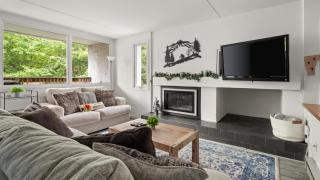 Bridges Circle condo - 3