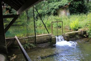 coulemelles - 6