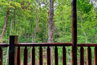 Studio Log Cabin - hot tub, fireplace, views, private! - 9