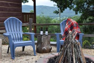 East Tennessee Family Mountain Retreat with Private Vineyard - 5