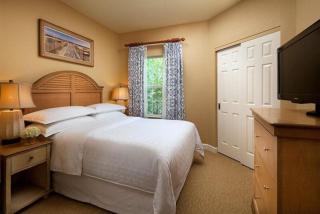 Resort living in this 2BD condo with pools, waterslides, and lazy river - Myrtle Beach - 9