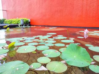 Cozy Grand Apartment Sungai Besi KL, Walking Distance Nirvana & 15 Mins Driving Distance to Mid Valley - 2