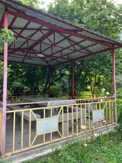 COMFORT M Guest House - 1
