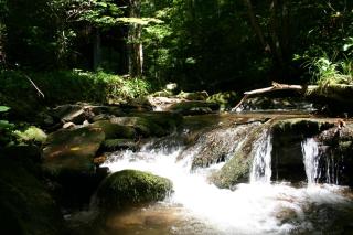 Newly Renovated Log Cabin, Hot Tub, Roaring Creek - 0