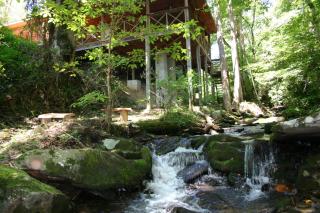 Newly Renovated Log Cabin, Hot Tub, Roaring Creek - 9