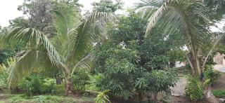 Gurukurpa Bhakt Nivas - 4