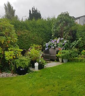 Grønnlunge - Stavanger - 6