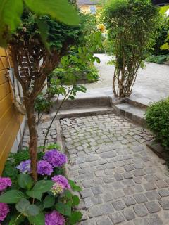 Grønnlunge - Stavanger - 5