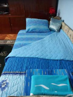 Apartman Natasa - Soko Banja - 3
