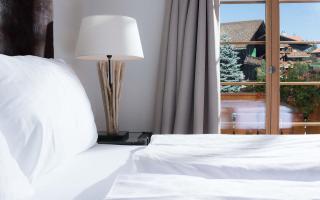 Hotel des Alpes Superieur - Gstaad - 3