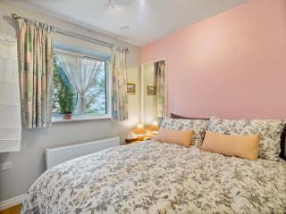 An Teachin Corcra - 8