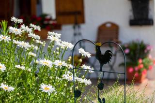 Haus der Berge Ferienwohnung - Ramsau - 5