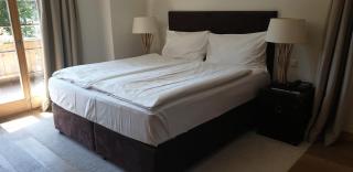 Hotel des Alpes Superieur - Gstaad - 7