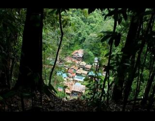 Bukit lawang free transpot free room - Timbanglawang - 0