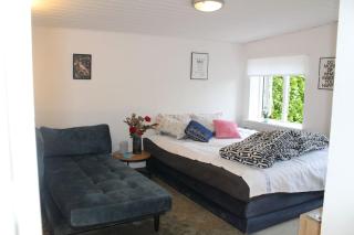 Lys penthouselejlighed - Augustenborg - 8