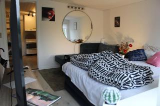 Lys penthouselejlighed - Augustenborg - 3