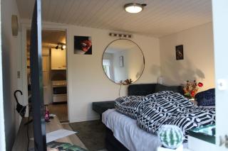 Lys penthouselejlighed - Augustenborg - 2
