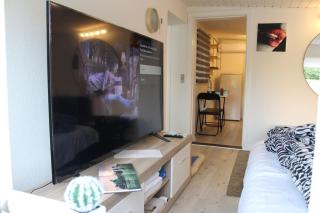 Lys penthouselejlighed - Augustenborg - 1