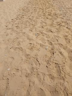 ازها - Ain Sokhna - 4