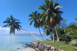 Villa VAIROARII Moorea - Afareaitu - 0