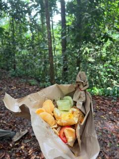 Bukit lawang free transpot free room - Timbanglawang - 1