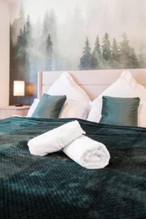 Blackforest Hideaway, Freiburg, Europapark, Schwarzwald - Teningen - 4