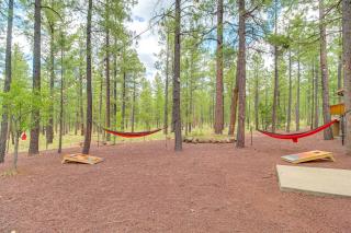 Large Backyard and Playset Family Cabin in Pinetop! - Pinetop-Lakeside - 9