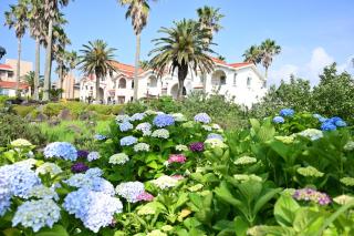 Jennyville Pension - 7