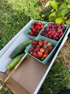 Welcome to our Retreat Haven in Warwick, NY - 3