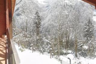 Villa Dorchinn - Rize - 5