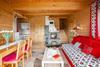 DOMKI TATRY z jacuzzi i sauną w cenie - spokojna okolica - świetna dla rodzin z dziećmi lub grupy znajomych! - Szaflary - 4