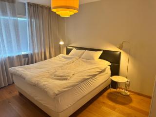 Kims Apartment - Main Shopping Street - Reykjavik - 7