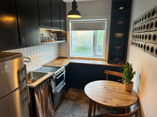 Kims Apartment - Main Shopping Street - Reykjavik - 4
