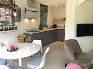 De Kastanje 5-persoons met overdekte lounge en hottub, barrelsauna, stoomsauna, ligbad, sunshower, wifi - 8