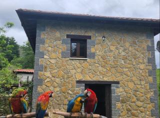 Casa Doña Lola - Cangas de Onís - 9