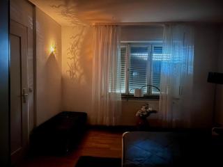 Luxurious 3 room peaceful home - 2