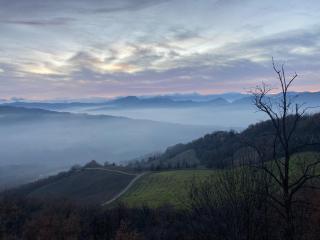 Oasi Acquafresca - 1