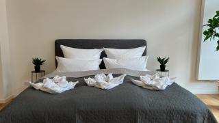 NEU! City-Loft-Apartment im Goethe Palais I 5P I Lift I Parkplatz I Zentrum I Helios - Aue - 1