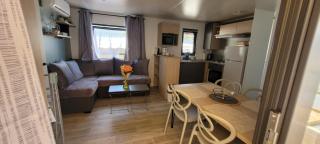 MOBILE-HOME au COEUR des LANDES - Herm - 4