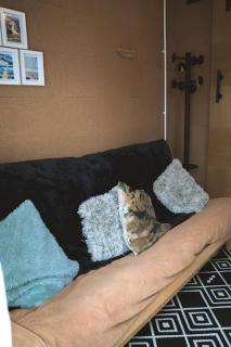Small self contained room - Porthleven - 2