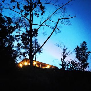 Bosque Místico - 0