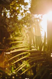 Hotel Boutique Lagarta Lodge - 6