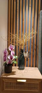 Filoxenia Luxury Apartment - Nafplio - 1