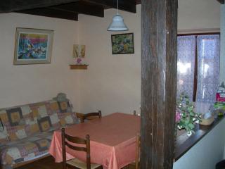 Le paradis des châtaigniers - Najac - 1