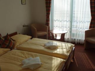 Hotel Loucky - Litvínov - 5