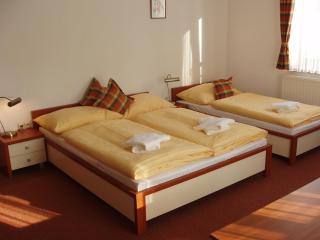 Hotel Loucky - Litvínov - 1
